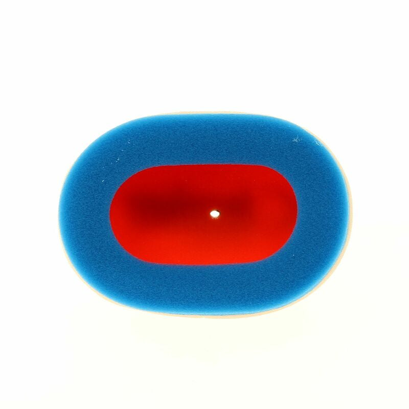 Filtro de aire TECNIUM - 0310