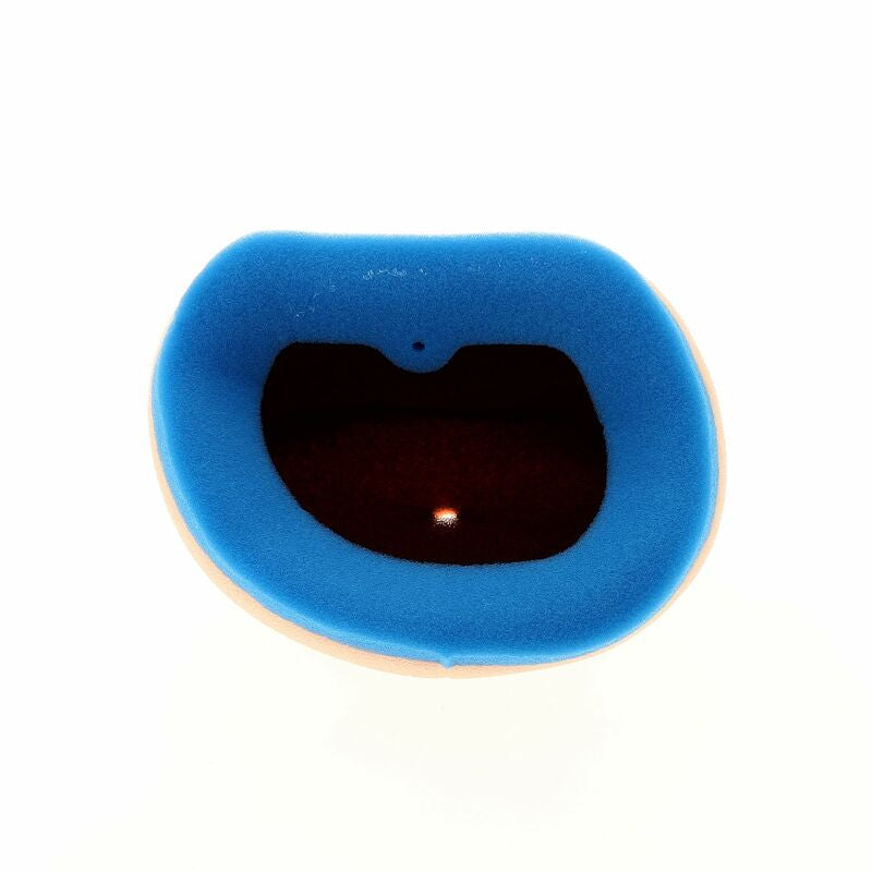 Filtro de aire TECNIUM - 5342