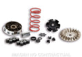 VARIADOR MALOSSI MULTIVAR MOTOR MINARELLI MHR Malossi 5113161