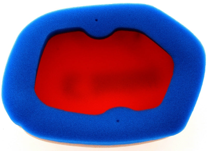 Filtro de aire TECNIUM 2 capas