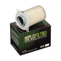 FILTRO DE AIRE HIFLOFILTRO HFA3604